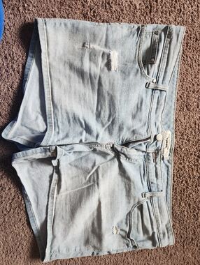 torrid Light Wash Distressed Denim Shorts